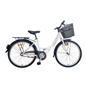 ultra tonus 26″ coaster brake